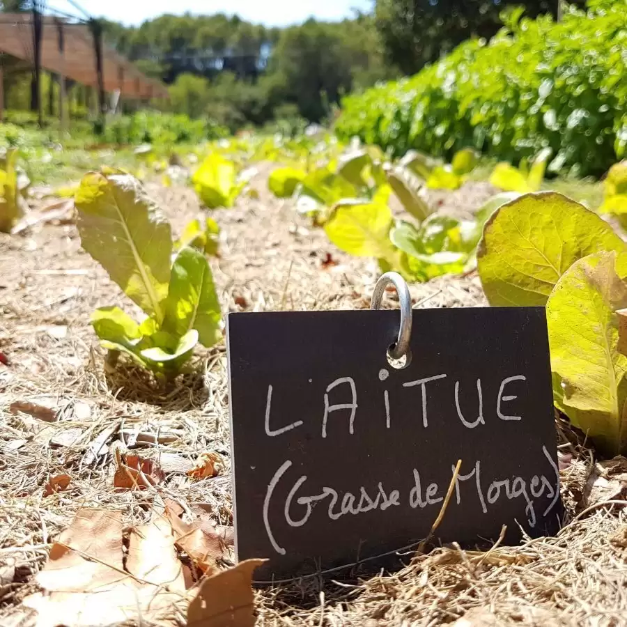 Domaine de Fontenille