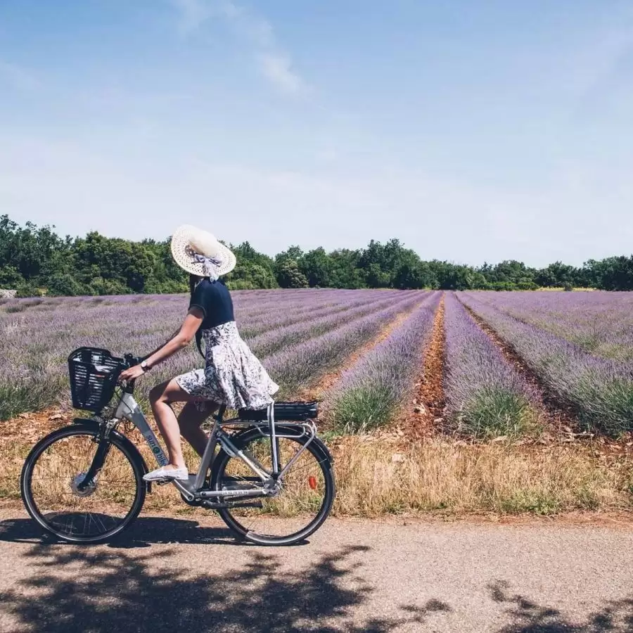 Les Domaines de Fontenille - Balade à vélo