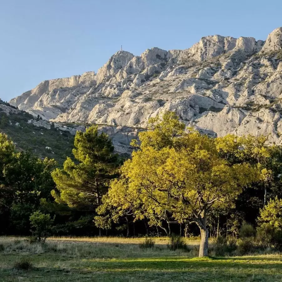 Les Domaines de Fontenille - Balades à Sainte Victoire