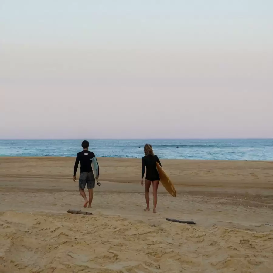 Les Hortensias du Lac - Surf