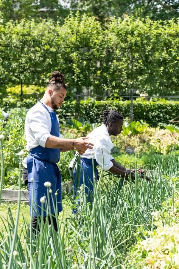 Potager Primard